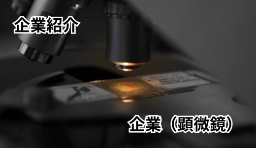 IDDK Co., Ltd. / 株式会社IDDK