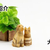 まいわんちょ Mywancho