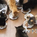 アイシア株式会社